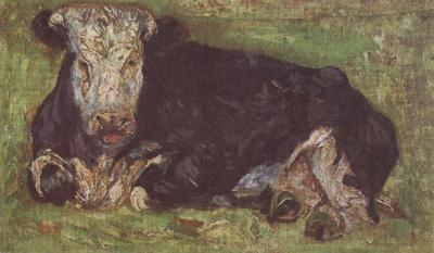 Vincent Van Gogh Lying Cow (nn04)